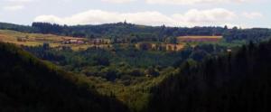 an aerial view of a forest of trees at LE MASSITROU - chambre d'hôte - Table d'hôte in Nedde