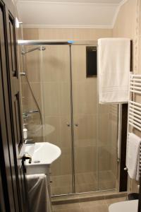 a bathroom with a shower and a sink at Casa Sofia in Bălţăteşti +52 photos