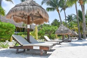 a group of lounge chairs and umbrellas on the beach at Amaite Beach Hotel in Holbox Island