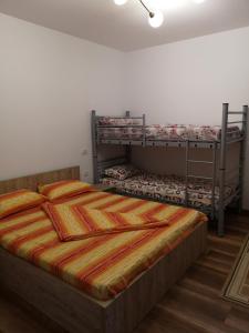 1 dormitorio con 2 literas en una habitación en Casa Alex, en Constanţa
