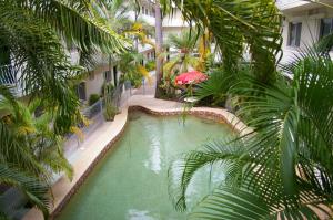 Bazén v ubytování Koala Beach Resort Cairns nebo v jeho okolí