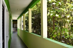 un pasillo con una pared verde con árboles en HOTEL LOS PINOS CENTRO en Tuxtla Gutiérrez