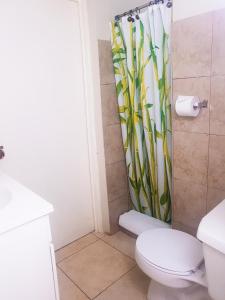 a bathroom with a toilet and a shower curtain at Eventuality B&B New Kingston in Kingston