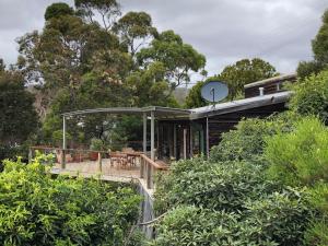 a house with a wrap around deck in the forest at HIDDEN HAVEN Binalong Bay in Binalong Bay