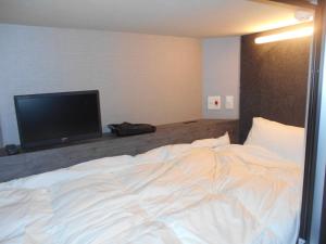 a bedroom with a bed and a flat screen tv at BIZCOURT CABIN SUSUKINO (Male Only) in Sapporo