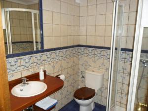 La salle de bains est pourvue de toilettes, d'un lavabo et d'une douche. dans l'établissement Apartamentos Rurales Los Villares, à Colunga