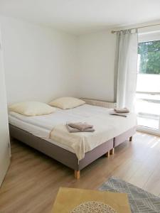 Un pat sau paturi într-o cameră la Ferienwohnung Mammut 1