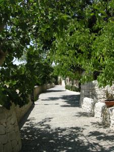a tree lined alley with stone walls and trees at 'A Cunziria in Vizzini