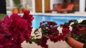 The swimming pool at or close to Atitlan Villas