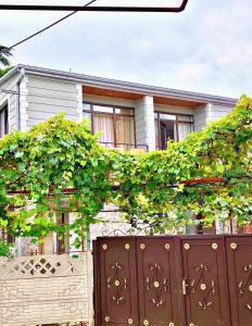 a house with a fence with green ivy growing over it at PAPILLON in Chakvi