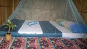 a bed in a tent with a pillow and a plant at Banana Grove El Nido in El Nido