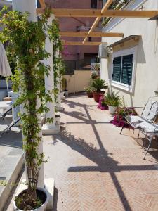 een patio met een boom in een pot naast een gebouw bij Villino Angela A Sant'Anna in Boscotrecase