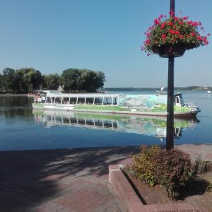 Widok na rzekę nieopodal tego apartamentu