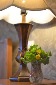 Φωτογραφία από το άλμπουμ του Hotel Brigitte σε Sighnaghi