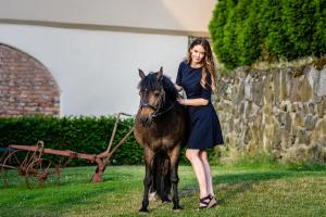 Animale la sau în apropiere de această pensiune