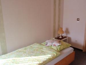 a bedroom with a bed and a lamp on a night stand at Ferienwohnung Carmen in 36396 Steinau-Ulmbach in Steinau an der Straße