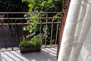 un balcon avec deux plantes en pot dans l'établissement IL NIDO DELLA ZIA, à La Spezia