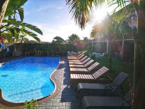 basen z leżakami obok niego w obiekcie St Lucia Lodge w mieście St Lucia