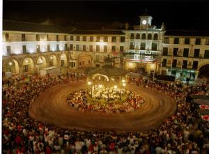 Imagen de la galería de Casa Del Carmen IIII - Parking incluido, en Tudela