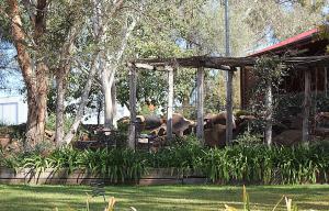 a zoo exhibit with an elephant in a garden at Outback Cellar & Country Cottage in Dubbo