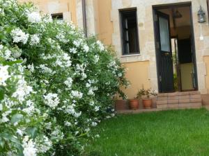 A garden outside Mayorazgo De Altamira Mila