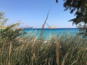 a view of the beach from a field of grass at Natica Mare Villas in Xerokampos