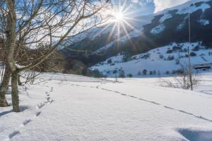 pokryte śniegiem pole ze słońcem w tle w obiekcie Relais Ducale Spa & Pool w mieście Pescocostanzo