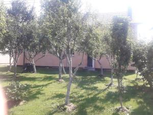 un grupo de árboles en el césped frente a un edificio en Jelena, en Kupres