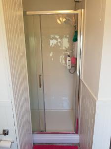 a shower with a glass door in a bathroom at Nanny Quinn's Apartment in Killucan