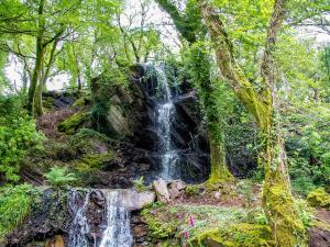 a waterfall in the middle of a forest at Kells Bay House and Gardens in Kells