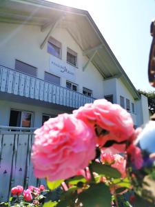 uma flor rosa em frente a uma casa em Pension Mozart em Ottobeuren