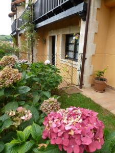 A garden outside Mayorazgo De Altamira Mila