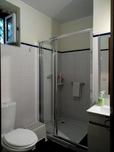 a bathroom with a shower and a toilet and a sink at Casas do Eido e Casa da Viúva in Celorico de Basto