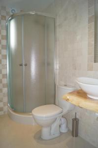 a bathroom with a shower and a toilet and a sink at Domek na Przełęczy in Ochotnica Górna