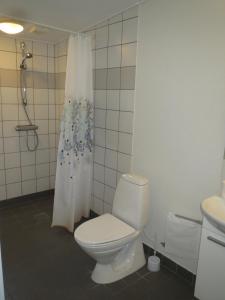 a bathroom with a toilet and a shower curtain at Danhostel Rebild in Skorping