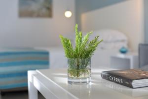 a glass vase with a plant on a table with a book at Nissi Beach Resort in Ayia Napa