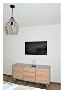 TV a/nebo společenská místnost v ubytování SGL apartments Lavickova