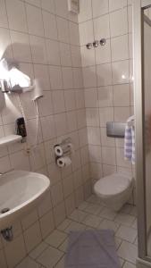 a bathroom with a toilet and a sink at Rhönblick Landhotel - Restaurant - Countrypub in Petersberg