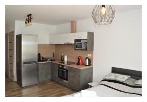 Kuchyň nebo kuchyňský kout v ubytování SGL apartments Lavickova