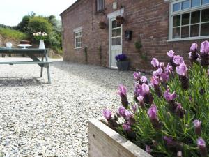 a garden with purple flowers in front of a building at Harepath Farm Cottages 1 in Exeter