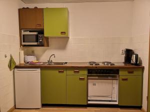 a kitchen with green appliances and a sink at B3 Albmatte-FEWO Sauna, Hallenbad Außenbecken Massagen nebenan in Menzenschwand