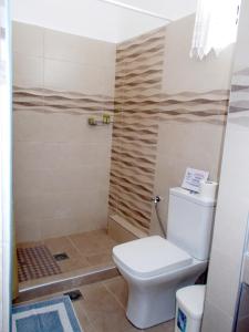 La salle de bains est pourvue d'une douche et de toilettes. dans l'établissement Maria Studios, à Patitiri