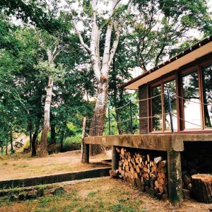 a house with a pile of logs next to a forest at Golden Beach Apartment in Chlʼaba