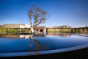 Bazén v ubytování Nobu Hotel Los Cabos nebo v jeho okolí