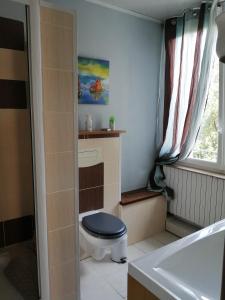 ein Bad mit einem blauen WC und einem Fenster in der Unterkunft Gîte de l'Aqueduc in Le Douhet