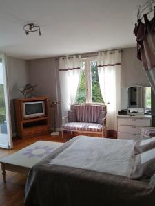 ein Schlafzimmer mit einem Bett, einem TV und einem Sofa in der Unterkunft Gîte de l'Aqueduc in Le Douhet