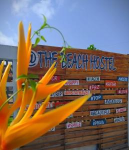 The Beach Hostel Milagres في ساو ميغيل دوس ميلاجريس: علامة لمستشفى الشاطئ مع زهرة صفراء