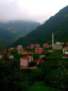 una piccola cittadina su una collina con una montagna di Erdem apart otel a Trabzon