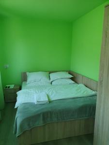a bedroom with a bed with a green wall at La Bustea in Hărţăgani