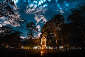 a small house in a yard at night at Amazon Muyuna Lodge - All Inclusive in Paraíso